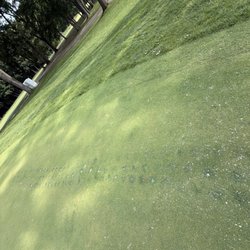 Pine Trace Golf Club