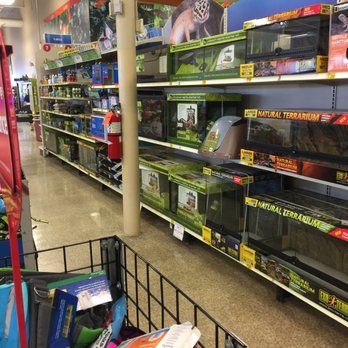 PetSmart - Pet Stores Near Me - Springfield, Pennsylvania PetSmart - Pet Stores Near Me - Springfield, Pennsylvania
