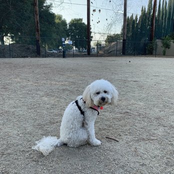 Flora Vista Dog Park - Dog Parks Near Me - Bellflower, California Flora Vista Dog Park - Dog Parks Near Me - Bellflower, California