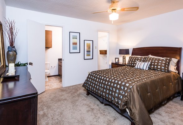 Fountainhead by null