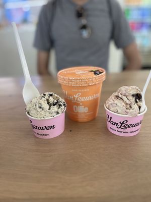 Van Leeuwen Ice Cream by null