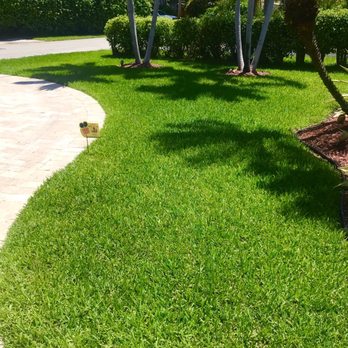 Truly Nolen Pest & Termite Control - Green and healthy - Pest Control Near Me - Pompano Beach, Florida Truly Nolen Pest & Termite Control - Green and healthy - Pest Control Near Me - Pompano Beach, Florida