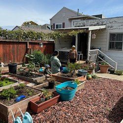 Linguistic Connection - Let's Connect ! Cultivating community & mutual caregiver support and empowerment at Linguistic Connection's garden space.