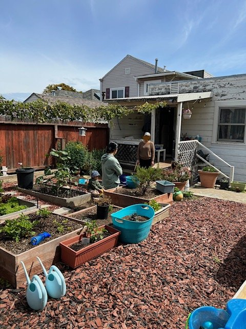 Linguistic Connection - child therapist in San Francisco, CA
