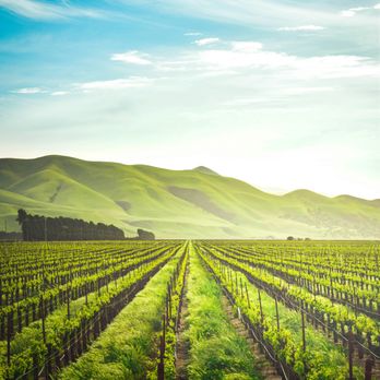 Sonoma Bodyworks - Massage Therapy Near Me - Glen Ellen, California Sonoma Bodyworks - Massage Therapy Near Me - Glen Ellen, California