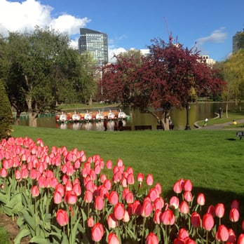 Holly Cameron - Real Estate Diva - Boston Public Garden - Real Estate Agents Near Me - Marblehead, Massachusetts Holly Cameron - Real Estate Diva - Boston Public Garden - Real Estate Agents Near Me - Marblehead, Massachusetts