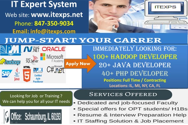 It Expert System Inc