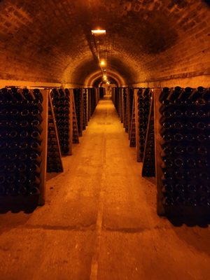 Moët et Chandon by null