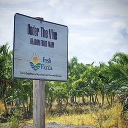Under The Vine Farm