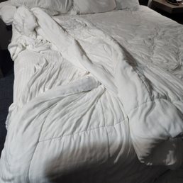 The bed didnt made for 3 days straight. I made it for the last 2 days and i am done. The bed didnt made for 3 days straight. I made it for the last 2 days and i am done.