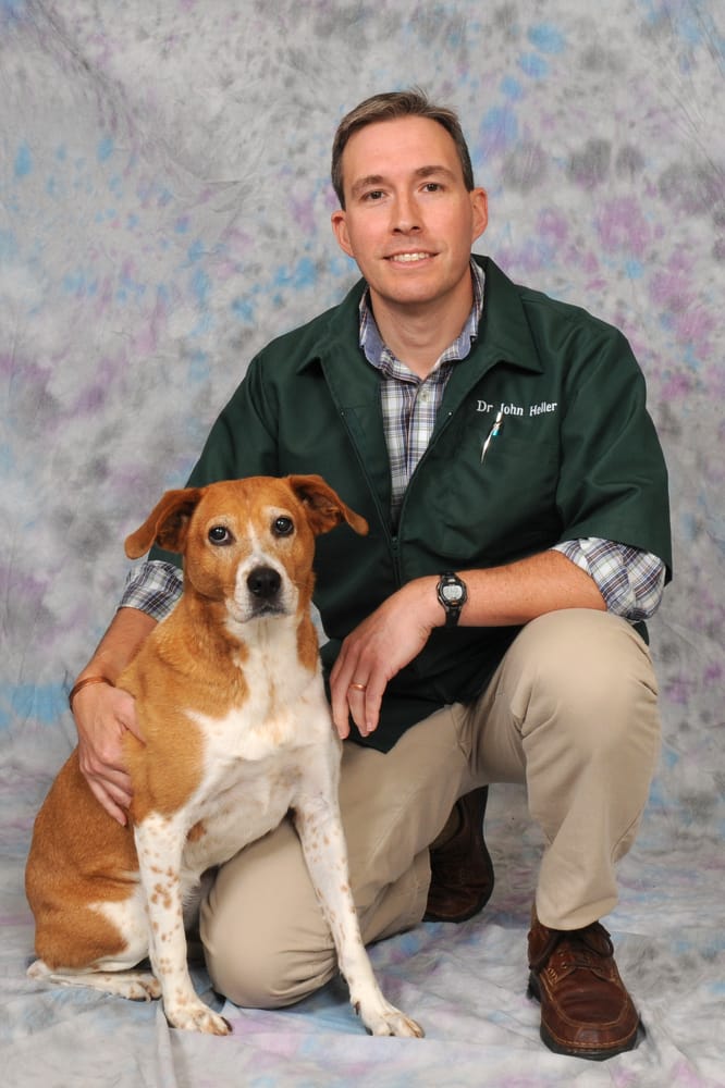 MAIN STREET VETERINARY CLINIC Updated September 2024 370 E Main St