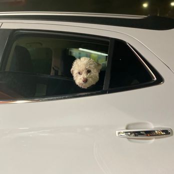 Eric Lamas - State Farm Insurance Agent - SAINT mommy says, we are not riding dirty! - Auto Insurance Near Me - Lomita, California Eric Lamas - State Farm Insurance Agent - SAINT mommy says, we are not riding dirty! - Auto Insurance Near Me - Lomita, California