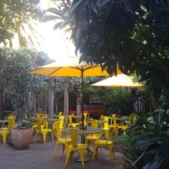 Sunflower Caffe - Coffee & Tea Near Me - Sonoma, California