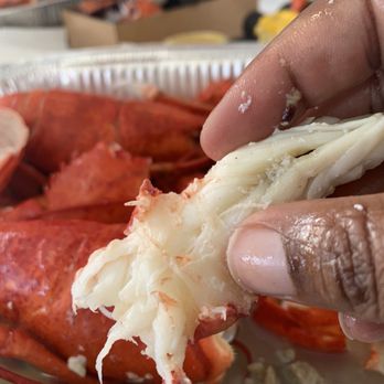 Quality Seafood - Lobster - Seafood Markets Near Me - Redondo Beach, California Quality Seafood - Lobster - Seafood Markets Near Me - Redondo Beach, California