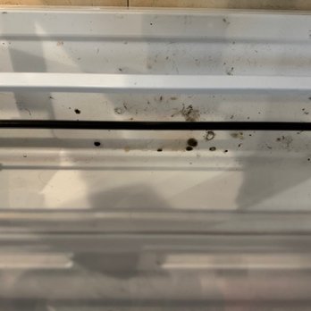 Axis Appliances Repair - Black mold at the bottom of the freezer - Appliances & Repair Near Me - Carrollton, Texas