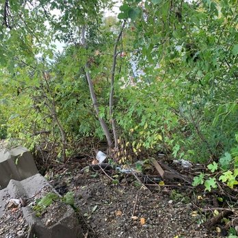 Orion's Odd Jobs - a trash pile in the woods - Junk Removal & Hauling Near Me