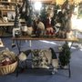 Photo of Charming Treasures
