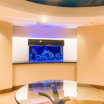 Aqua Biz - Custom Aquariums For Your Home or Business Establishments. - Aquarium Services Near Me - Sylmar, California Aqua Biz - Custom Aquariums For Your Home or Business Establishments. - Aquarium Services Near Me - Sylmar, California