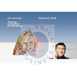 The Voice Business