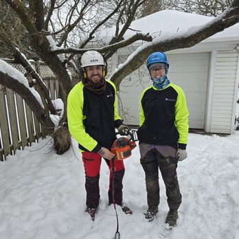 Eaton Tree Solutions - Tree Services Near Me - York, Ontario Eaton Tree Solutions - Tree Services Near Me - York, Ontario