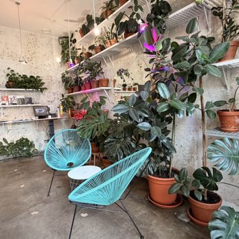 Mistral Café - Cafes Near Me - Prague, Puerto Rico