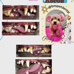 Before and after photos of my sweet girls teeth. Before and after photos of my sweet girls teeth.