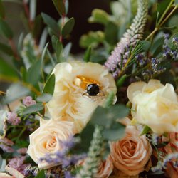 Bay Fresh Flowers