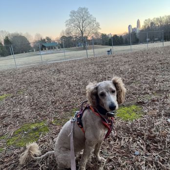 Petco - Pet Training Near Me - Huntersville, North Carolina