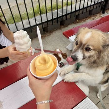 Conny's Creamy Cone - Ice Cream & Frozen Yogurt Near Me - Saint Paul, Minnesota
