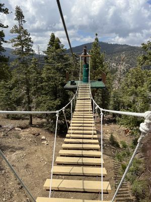 Action Zipline Tours by null