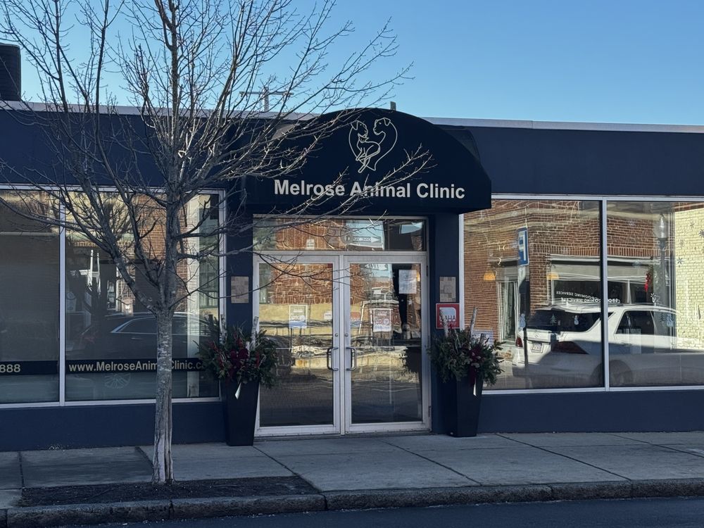 Melrose Animal Clinic Image