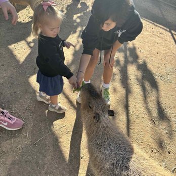 GHOST RANCH EXOTICS AND FUNNY FOOT FARM - Updated March 2026 - 56 ...