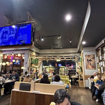 Domo Sushi - Sushi Bars Near Me - St. Charles, Illinois