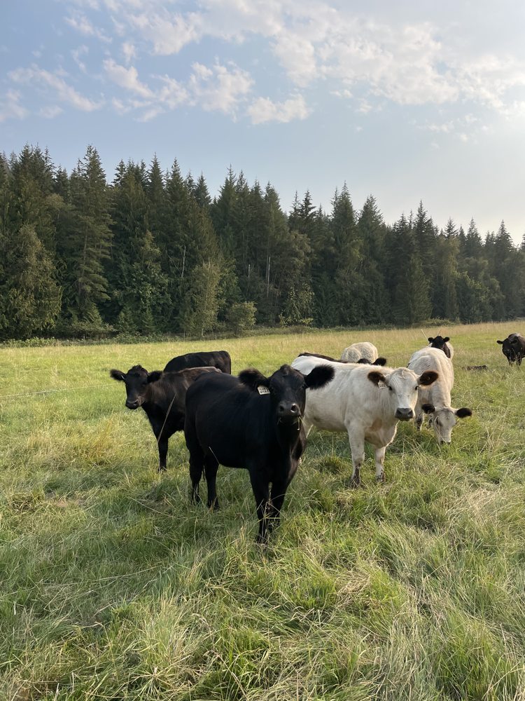 FRESH VALLEY FARMS Updated July 2024 1346 Mountain View Road