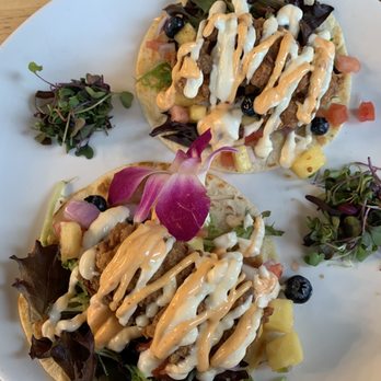 Testa's Bar & Grill - "Maine Street Lobster Tacos" - Seafood Near Me - Bar Harbor, Maine Testa's Bar & Grill - "Maine Street Lobster Tacos" - Seafood Near Me - Bar Harbor, Maine