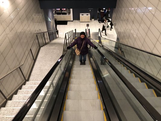 Sperry's Moviehouse by null