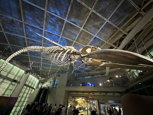 National Museum of Marine Biology & Aquarium by null