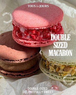 Tous Les Jours Troy by null