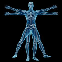 Windsor Neck & Back Care Centre
