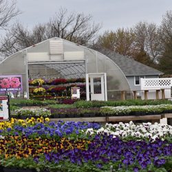Another view of our annual plant yard.
