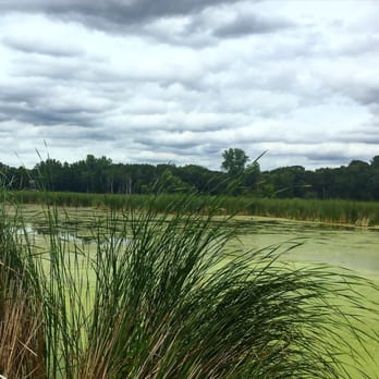 Springbrook Nature Center - View from the wetlands - Parks Near Me - Minneapolis, Minnesota