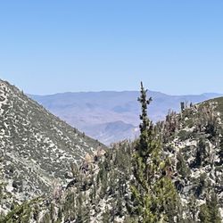 Mt Rose Hike - Mt Rose hiking trail