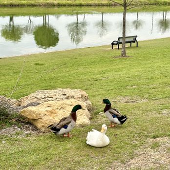 Capp Smith Park - Enjoying our walk - Parks Near Me - Watauga, Texas