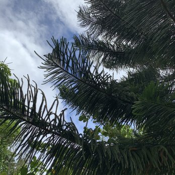 Hau'ula Loop Trail - Hiking Near Me - Hauula, Hawaii