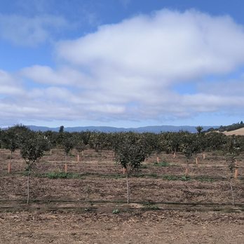 Gizdich Ranch - Bakeries Near Me - Watsonville, California Gizdich Ranch - Bakeries Near Me - Watsonville, California