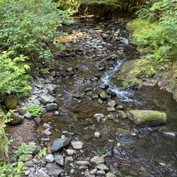 Drift Creek Fall And Bridge - Fun Walk