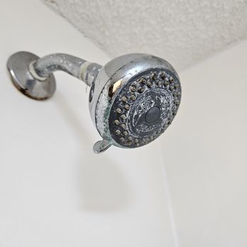 Quality Inn & Suites Mt Dora North - Hotels Near Me - Mount Dora, Florida