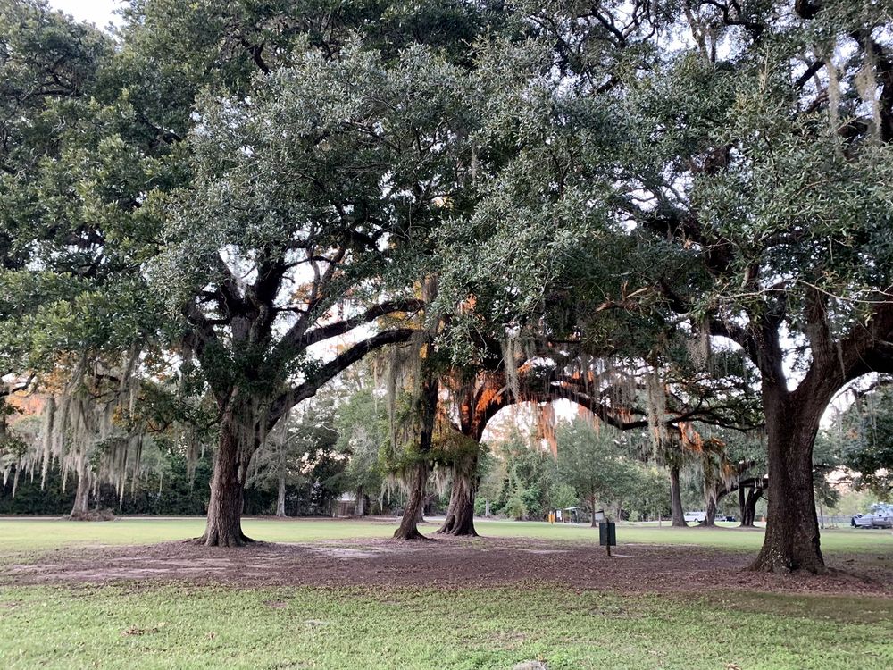 WMA PEARL RIVER WMA CAMP GROUNDS Updated September 2024 41300