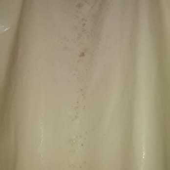 Silver River Inn - Mildew on shower curtain - Hotels Near Me - Silver Springs, Florida Silver River Inn - Mildew on shower curtain - Hotels Near Me - Silver Springs, Florida