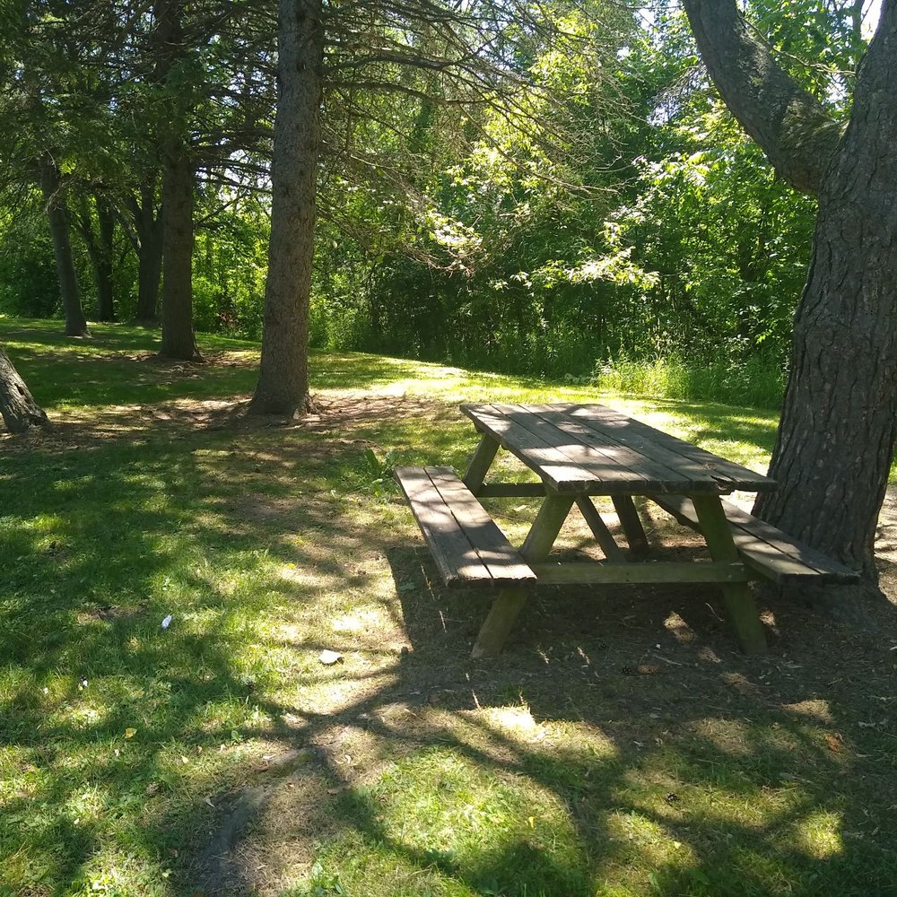 Ferguson Falls - The entire park has 1 lone picnic table. - Parks Near Me - Brockville, Ontario Ferguson Falls - The entire park has 1 lone picnic table. - Parks Near Me - Brockville, Ontario
